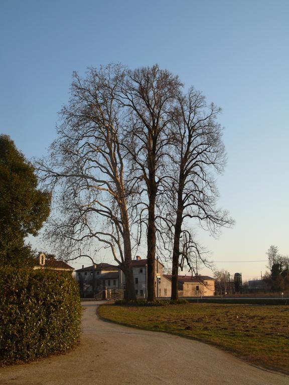 B&B Giardino Jappelli Rosa Luaran gambar